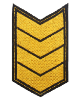 Шеврон по годам службы (годовка) 20 лет службы (выслуги лет), 8х12 см