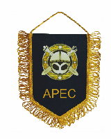 Вымпел жесткий печатный с бахромой, 15х22 см Вымпел жесткий печатный с бахромой, 15х22 см